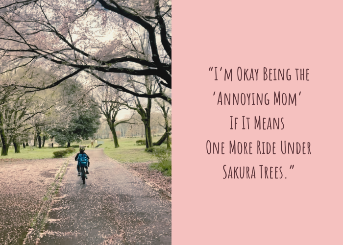 One Petal Falls, and a Story Unwinds